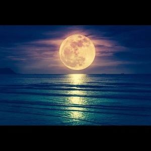 Meet your Posher, Vicki